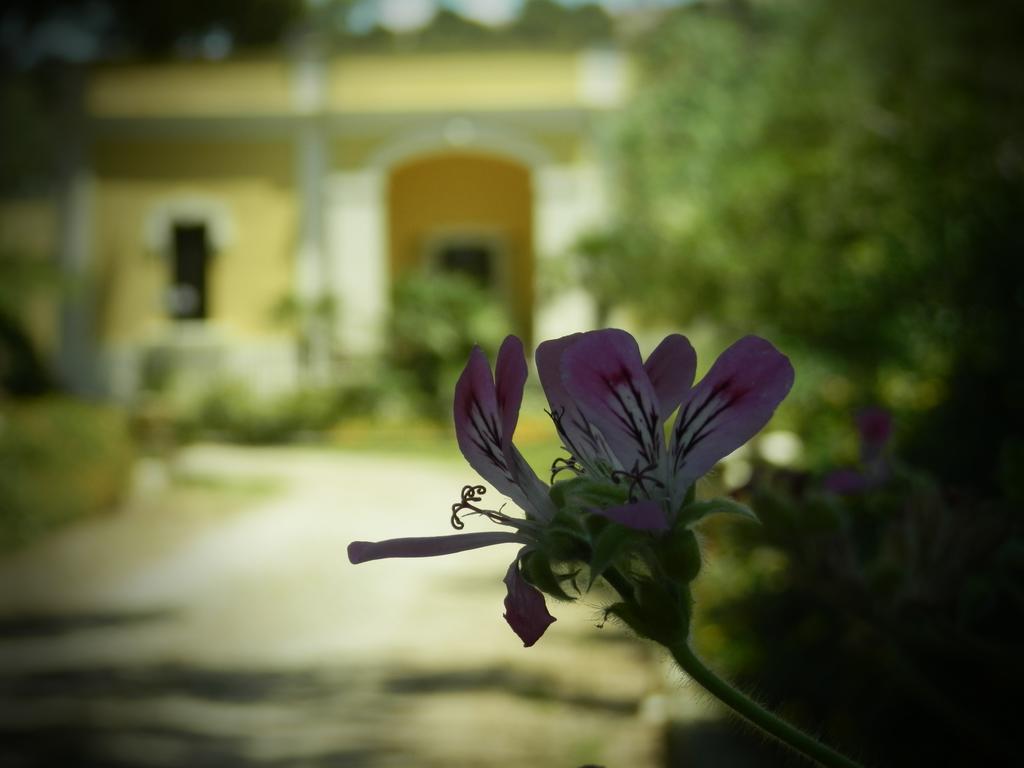 Dimora Relais Excelsa Hotel Gallipoli Bagian luar foto